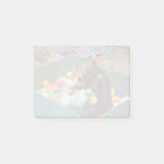 Orangutan Redd au National Zoo Post-it Notes