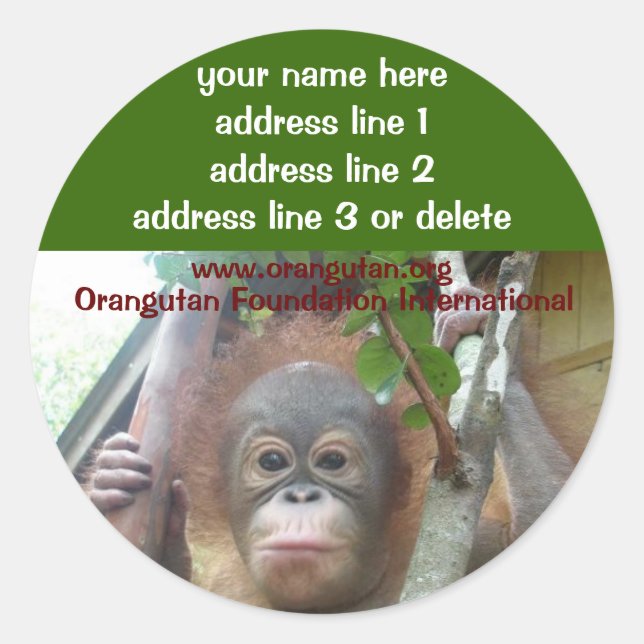 Orangutan Rescued Wildlife Charity address labels (Front)