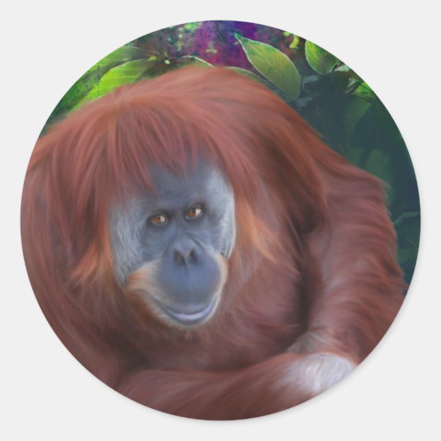 Orangutan Sticker (Front)