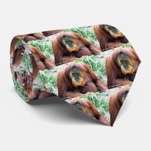 Orangutan Tie