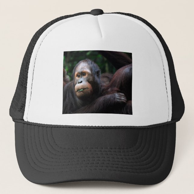 Orangutan Trucker Hat (Front)