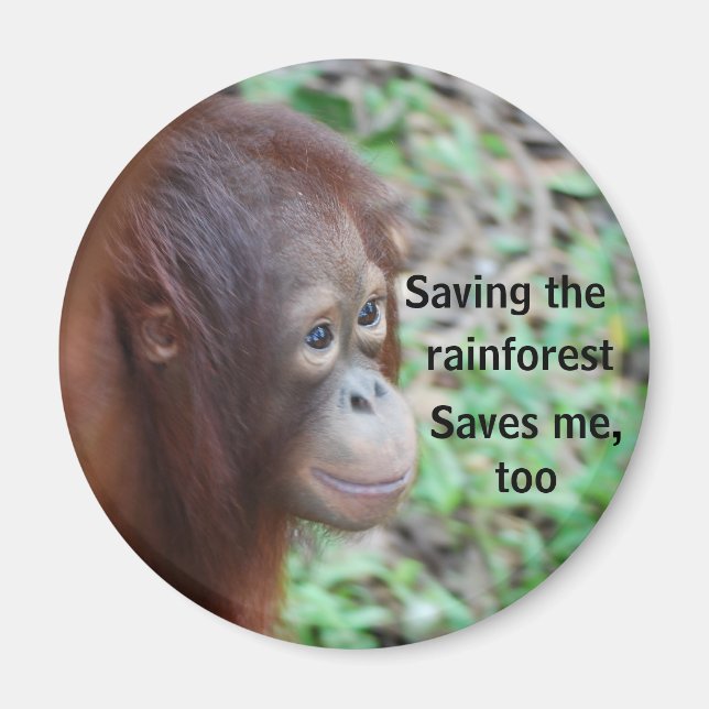 Orangutan Wildlife Charity Magnet (Front)