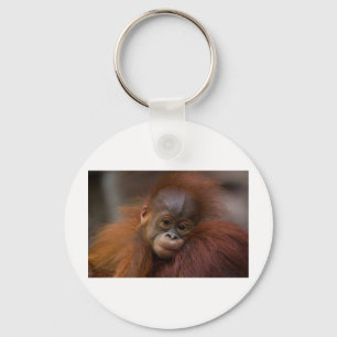 Orangutang baby keychain