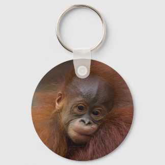 Orangutang baby keychain