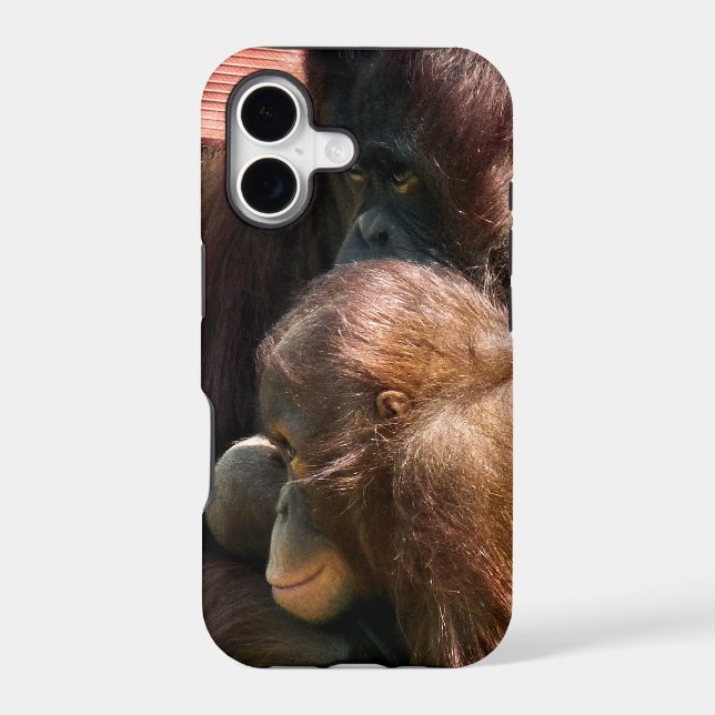ORANGUTANS (Back)