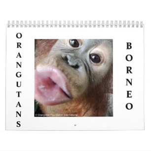 Orangutans Calendar
