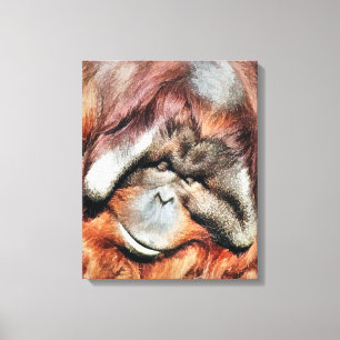 ORANGUTANS CANVAS PRINT