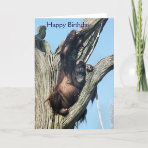 ORANGUTANS CARD