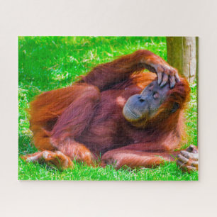 Orangutans. Jigsaw Puzzle