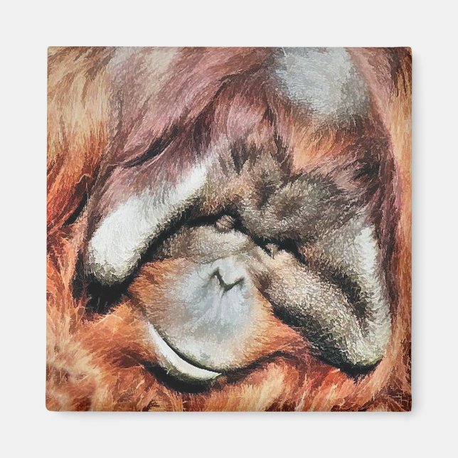 ORANGUTANS MAGNET (Front)