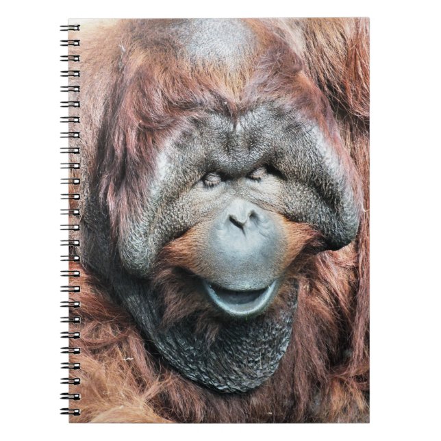 ORANGUTANS NOTEBOOK (Front)
