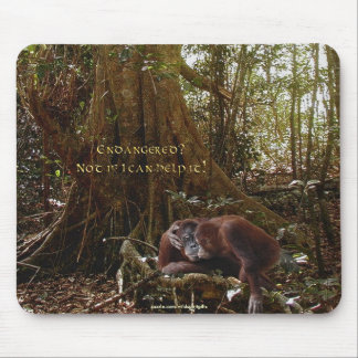 Orangutans & Rainforest Wildlife-support Mousepad