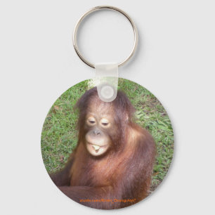 Orangutans Rescue Keychain