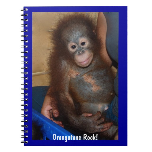 Orangutans Rock Notebook (Front)