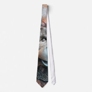 ORANGUTANS TIE