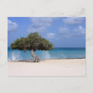 oranjestad postcard