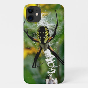 Orb Spider in Web iPhone 11 Case