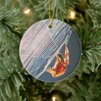 Orb Spider on Web Ceramic Ornament