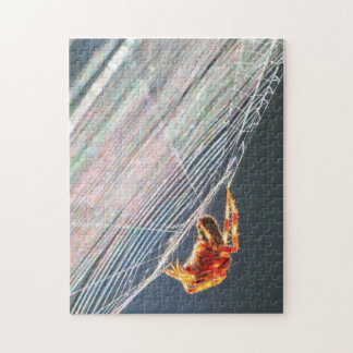 Orb Spider on Web Jigsaw Puzzle