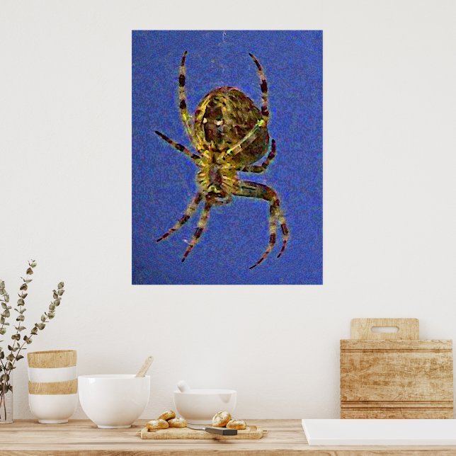Orb Spider Poster (Kitchen)