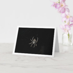 Orb-weaver Spider Card