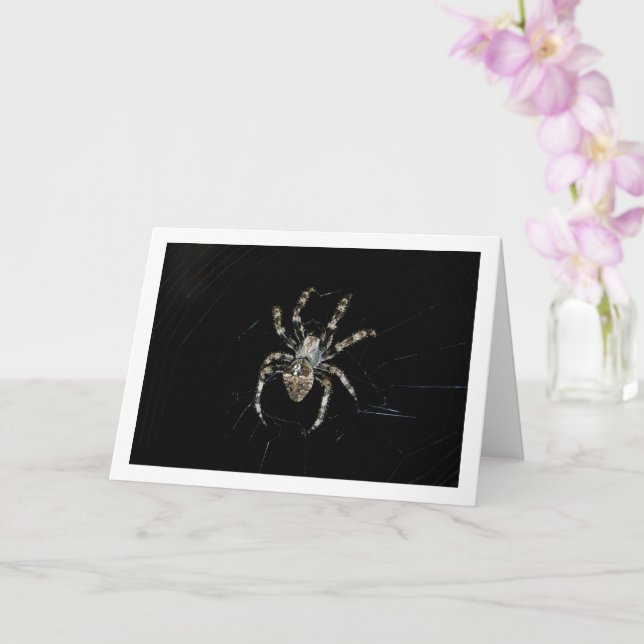 Orb-weaver Spider Card (Orchid)