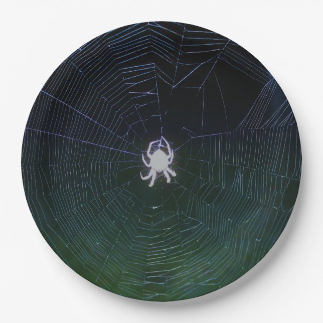 Orb Weaver Spider  Paper Plate (Front)