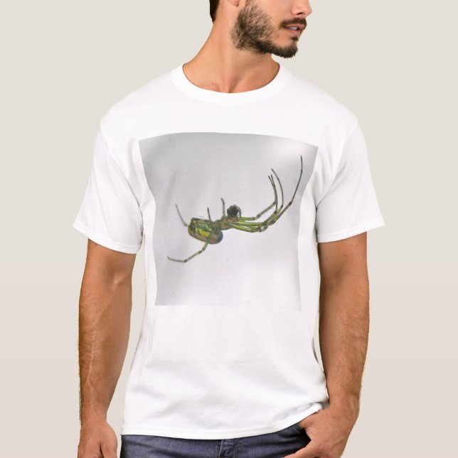 Orb Weaver Spider T-Shirt (Front)