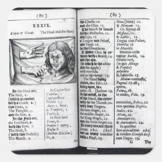 'Orbis Sensualium Pictus' Square Sticker (Front)