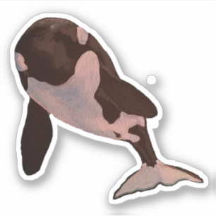 Orca