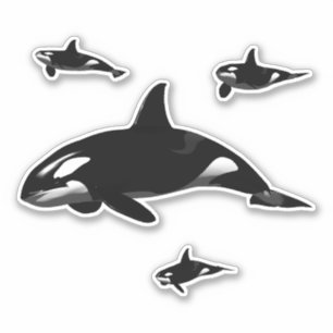 Orca