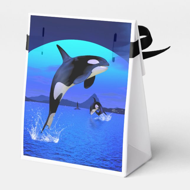 Orca 1 favor box (Back Side)