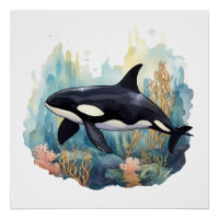Orca And Coral