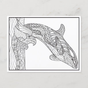 Orca Black and White Postcard