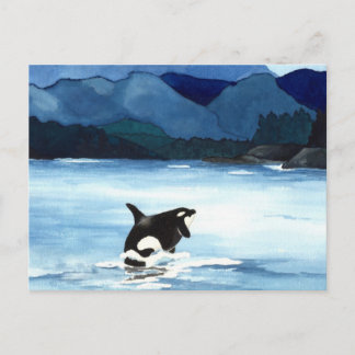Orca Breach Postcard