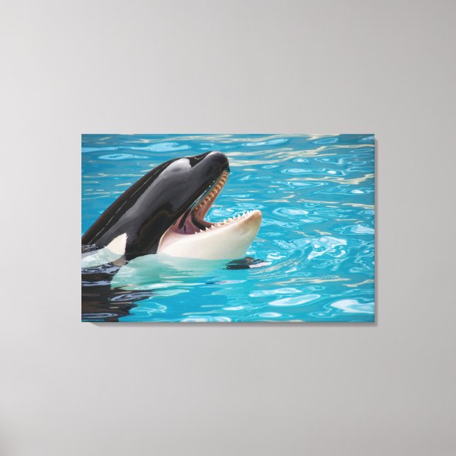 Orca canvas print (Front)