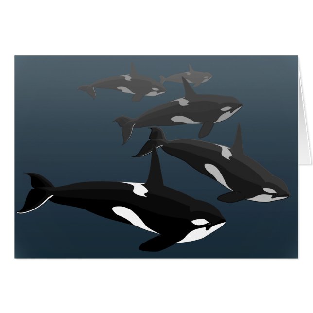 Orca Cards Personalize Killer Whale Art Cards (Front Horizontal)