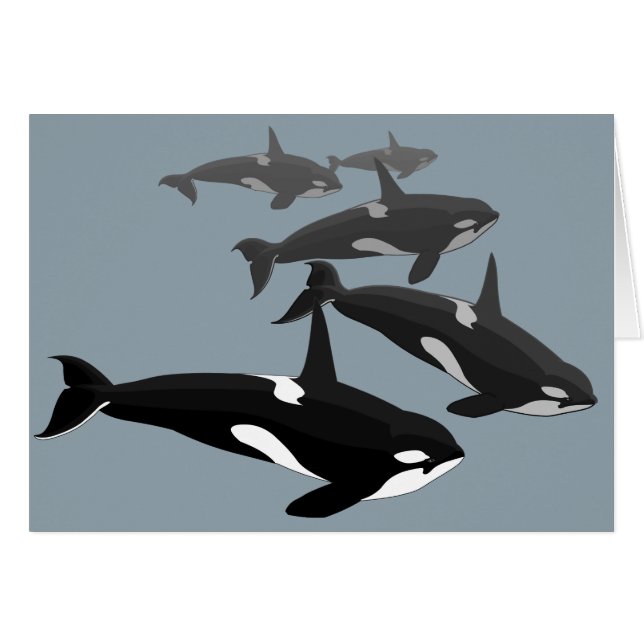 Orca Cards Personalized Killer Whale Art Cards (Front Horizontal)