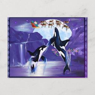 Orca Christmas Postcard