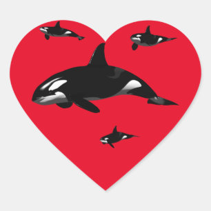 Orca Heart Sticker