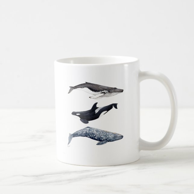 Orca, hunchbacked whale and gray whale coffee mug (Right)
