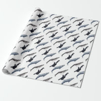 Orca, hunchbacked whale and gray whale