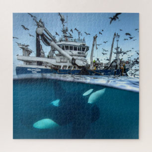 Orca Killer Whale Commercial Fishing Boat Ocean Jigsaw Puzzle