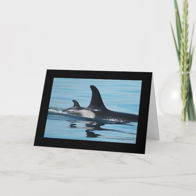 Orca/Killer Whale Mother's Day Card (Front)
