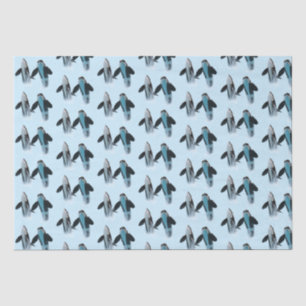 Orca / Killer Whale Tissue Paper 