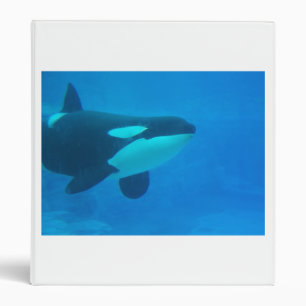 orca killer whale underwater blue binder