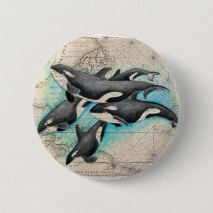Orca Map Atlas 2 Inch Round Button