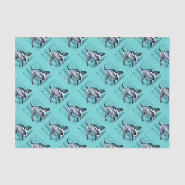 Orca Map Teal Tissue Paper (Front)