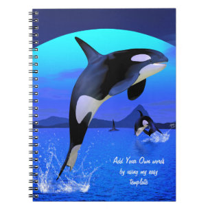 Orca Notebook