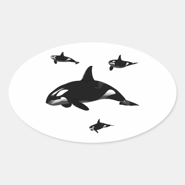 Orca Oval Sticker (Front)